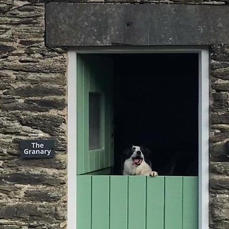 Dog Friendly Cottage, Geufron Farm Near Tywyn Bryn-crug Экстерьер фото