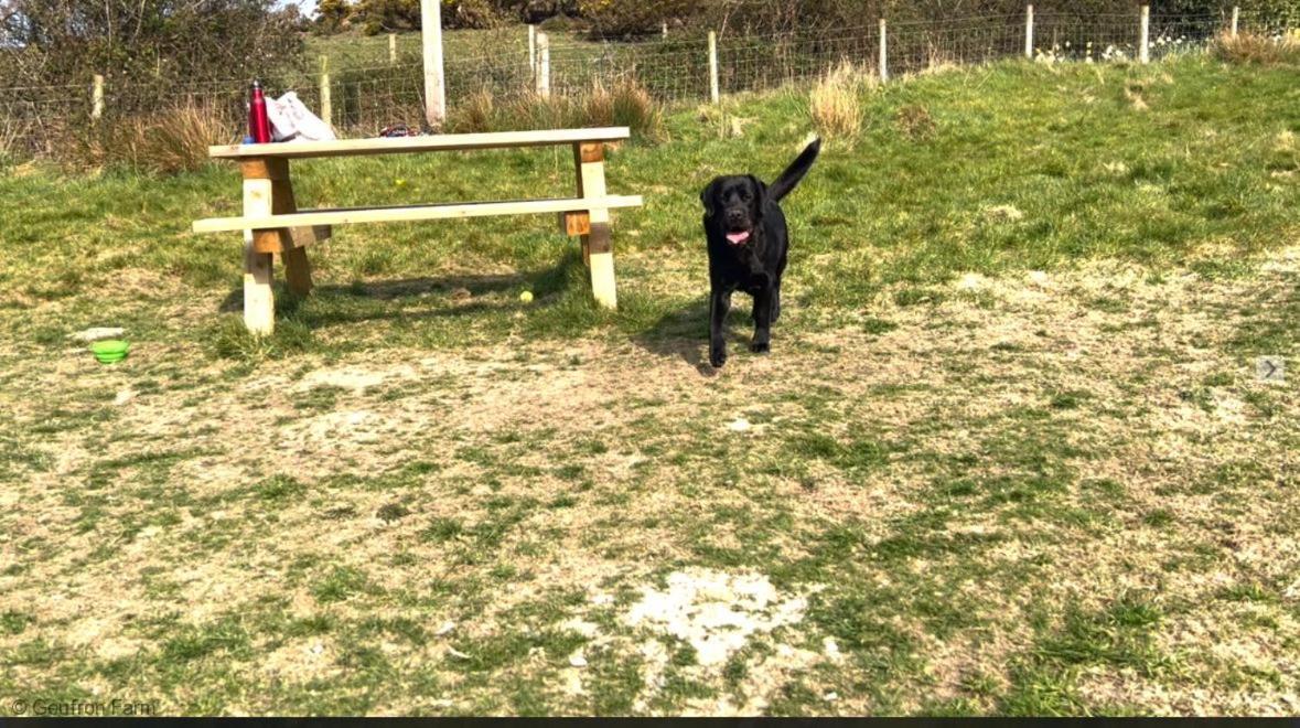 Dog Friendly Cottage, Geufron Farm Near Tywyn Bryn-crug Экстерьер фото